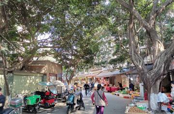 拆墻并院、物業(yè)公開，送仙橋片區(qū)營造“最佳鄰里氛圍”